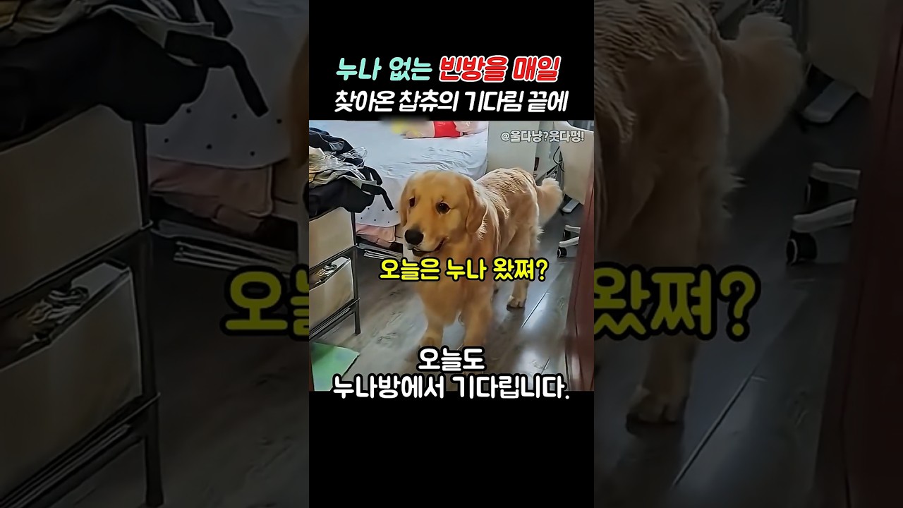 누나 빈방을 계속찾은 찹츄
