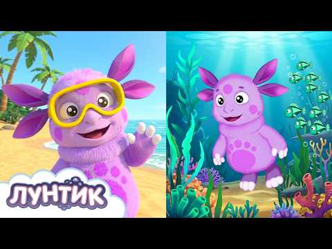 Luntik 🐸 Summer Pond Games 💦 Cartoon Compilation for Kids