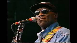 Taj Mahal - Fishin' Blues - 6/13/1995 - Shoreline Amphitheatre