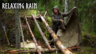 Camping in RELAXING RAINThe Rainy Autumn Forest of Finland