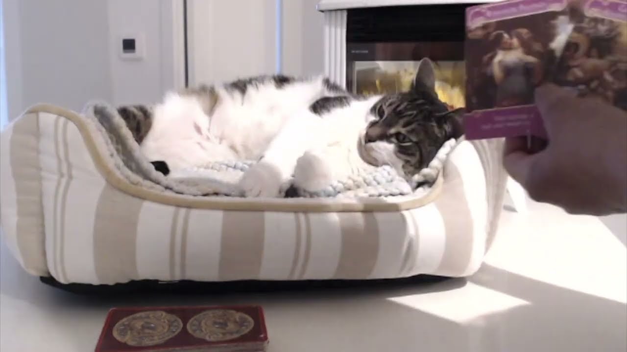 Do you need to hear this reading AGAIN? Your bond is growing with this person. Here’s how…