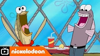 SpongeBob SquarePants | Fortune Cookies | Nickelodeon UK