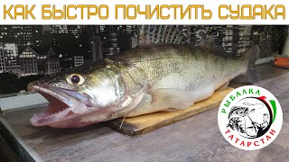 Как быстро почистить Судака (How to quickly clean a Walleye)