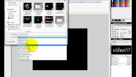 Exportar a vídeo en Macromedia Flash