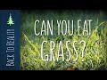 Can you eat grass?