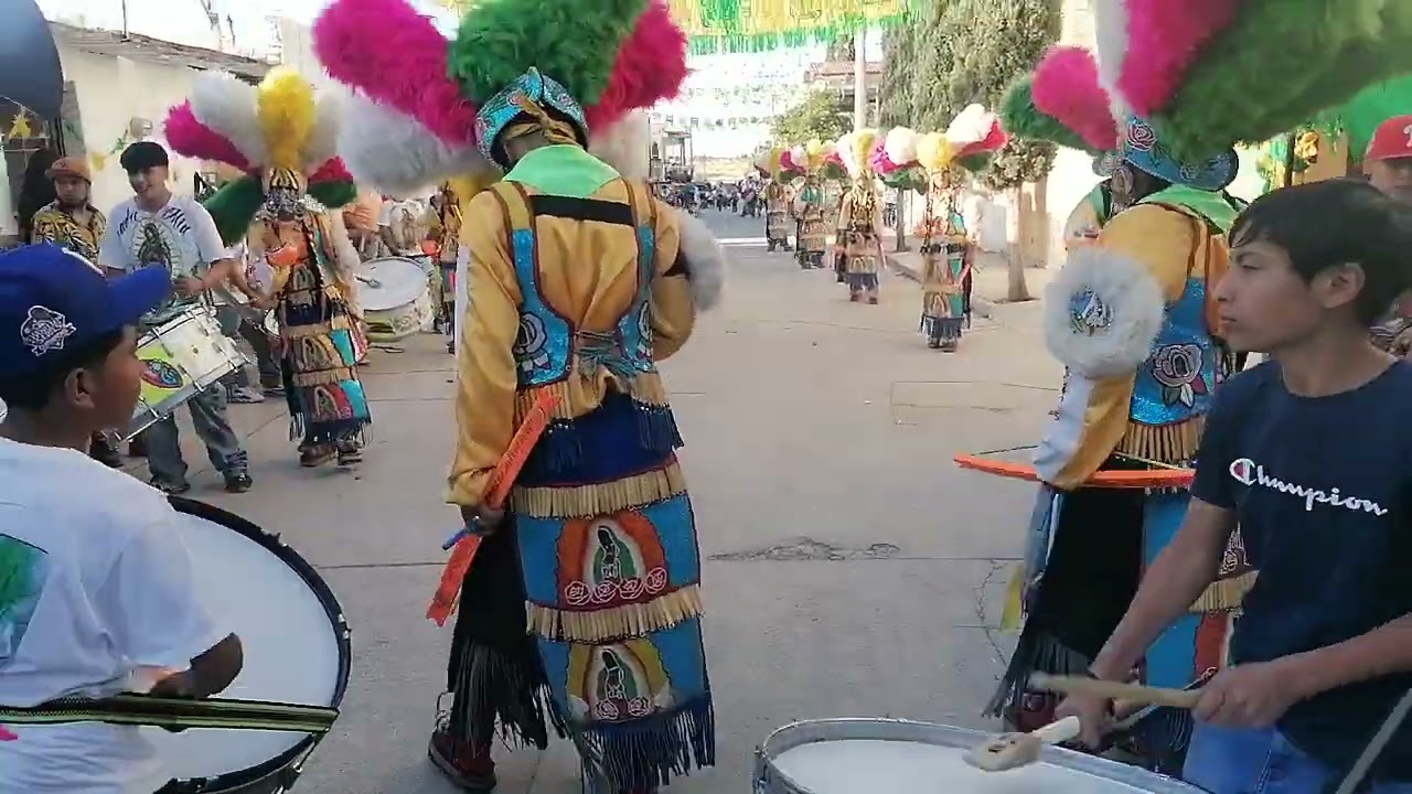 Casta De Guerreros Toltecas de Ags 