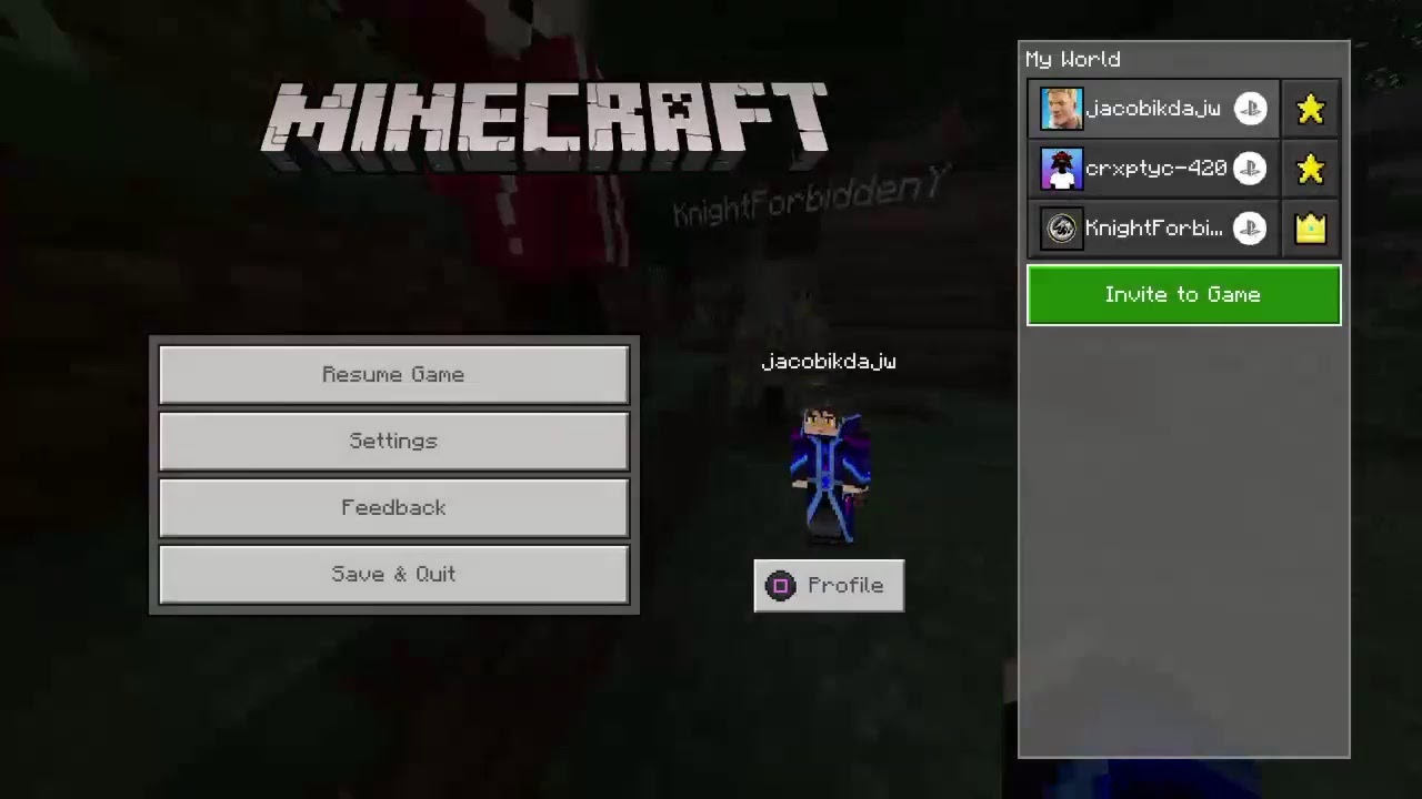 Cooperative any% glitchless random seed console speedrun minecraft ...