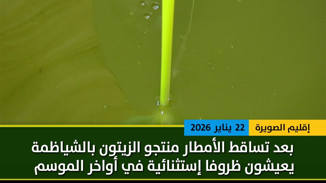 بعد التساقطات المطرية الأخيرة .. منتجو الزيتون بالشياظمة يعيشون ظروفا إستثنائية في أواخر الموسم