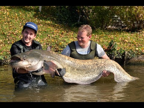 Fishing trip to the reservoir (Walleye, catfish,bluegill) from YouTube · High Definition · Duration: 14 minutes 13 seconds · 35 views · uploaded on 7/27/2017 · uploaded by The Otto Family Fishing trip to the reservoir (Walleye, catfish,bluegill) from YouTube · High Definition · Duration: 14 minutes 13 seconds · 35 views · uploaded on 7/27/2017 · uploaded by The Otto Family