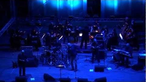 Official: Fish in Plovdiv 4 of 4 - Cliché