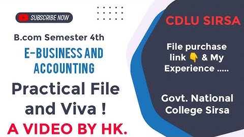 E- Business & Accounting Practical File & Viva | B.com Semester 4th | Cdlu | National College Sirsa