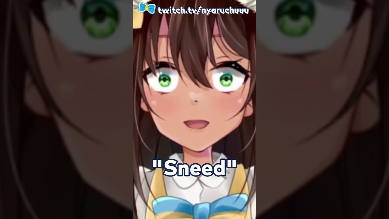 sneed's feed and seed (formerly chuck's) 