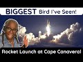 The BIGGEST Bird I’ve Ever Seen! 🚀 (Rocket Launch at Cape Canaveral)
