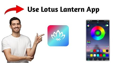 Hoe de Lotus Lantern-app te gebruiken (2025)