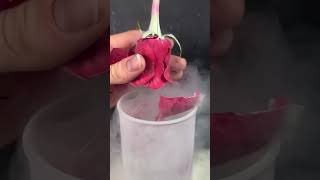 Liquid Nitrogen vs Flower 🌹