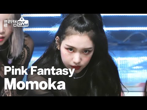 [플리캠 4K] Pink Fantsy Momoka &amp;#39;Poison(독)&amp;#39; (<strong>핑크판타지</strong> 모모카) l Simply K-Pop Ep.478