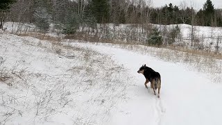 Am I Dreaming Or Did We Just Get MORE SNOW?