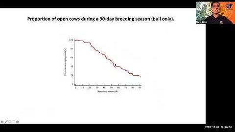 Synchronization Protocols