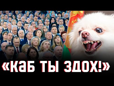 Вось чаго найбольш баяцца лукашысты! Белы шпіц і 5 кніг класікаў | «Экстрэмістка» Лідзія Арабей