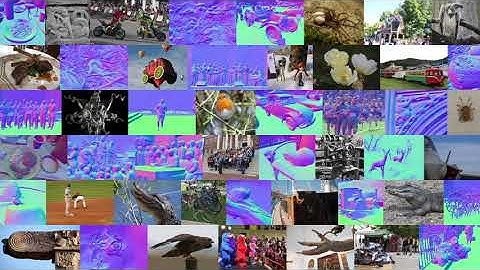 [CVPR 2024] Rethinking Inductive Biases for Surface Normal Estimation