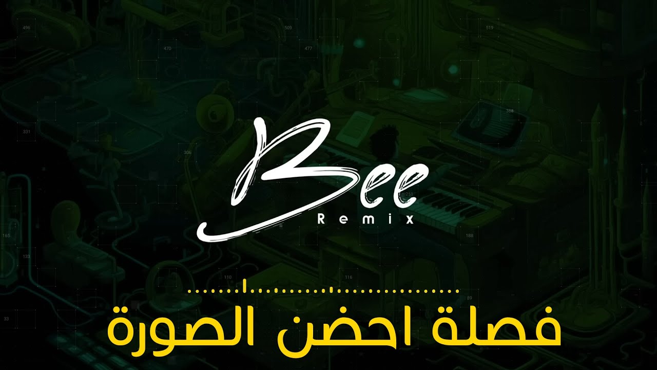 BEE REMIX | فصلة احضن الصورة
