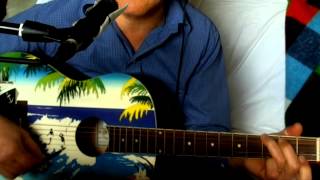 Adabei ~ Gert Steinbäcker (Dedicated Follower of Fashion - The Kinks) ~ Cover ~ The Hawaian chords
