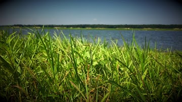 Ambient Guitar Sketch #1