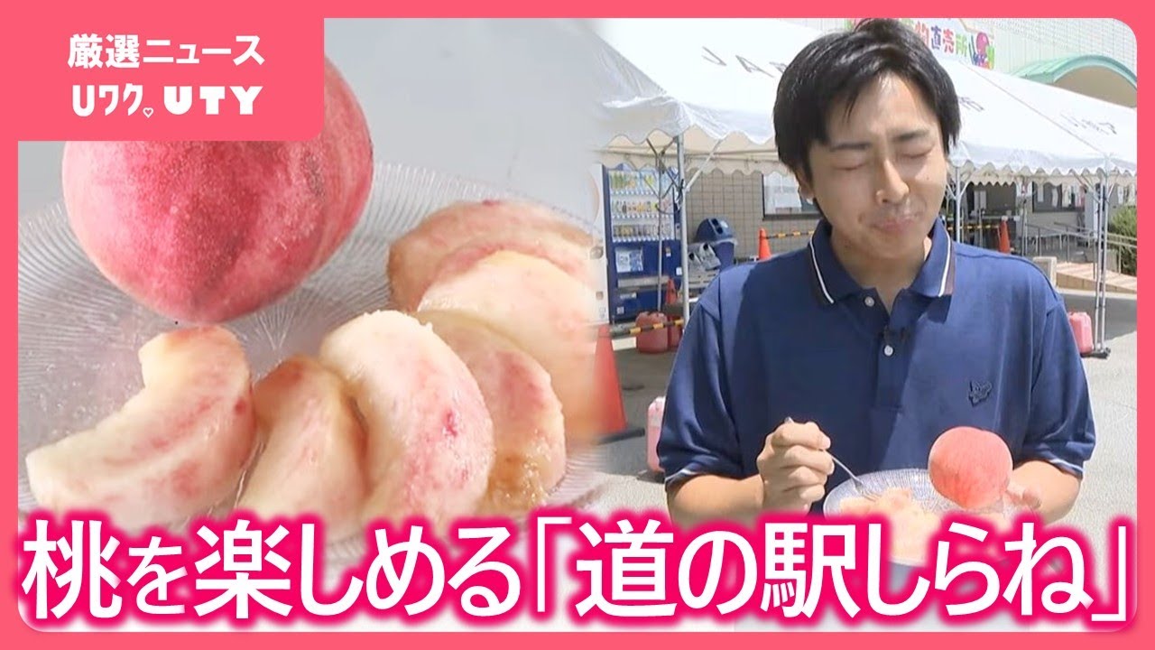【プラっと道の駅】　今が旬　10種類以上のモモが目玉商品　モモもスモモも　山梨・道の駅しらね