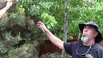 MEASURING YOUR SHADE SAIL