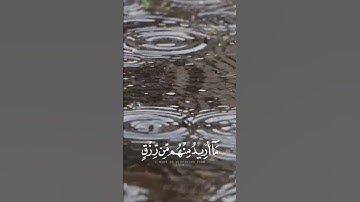 وذكر فإن الذكرى تنفع المؤمنين / #القرآن_الكريم #سورة الذاريات