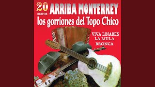 Miniatura del video "Los Gorriones De Topo Chicho - Polka Monterrey"