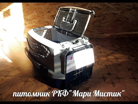#ОБЗОР ПЕРЕНОСКА ДЛЯ ЧИХУА#ОТЗЫВ СРАВНЕНИЕ РАЗНЫХ ПЕРЕНОСОК ДЛЯ СОБАК КОШЕК#ПИТОМНИКЧИХУАМАРИМИСТИК