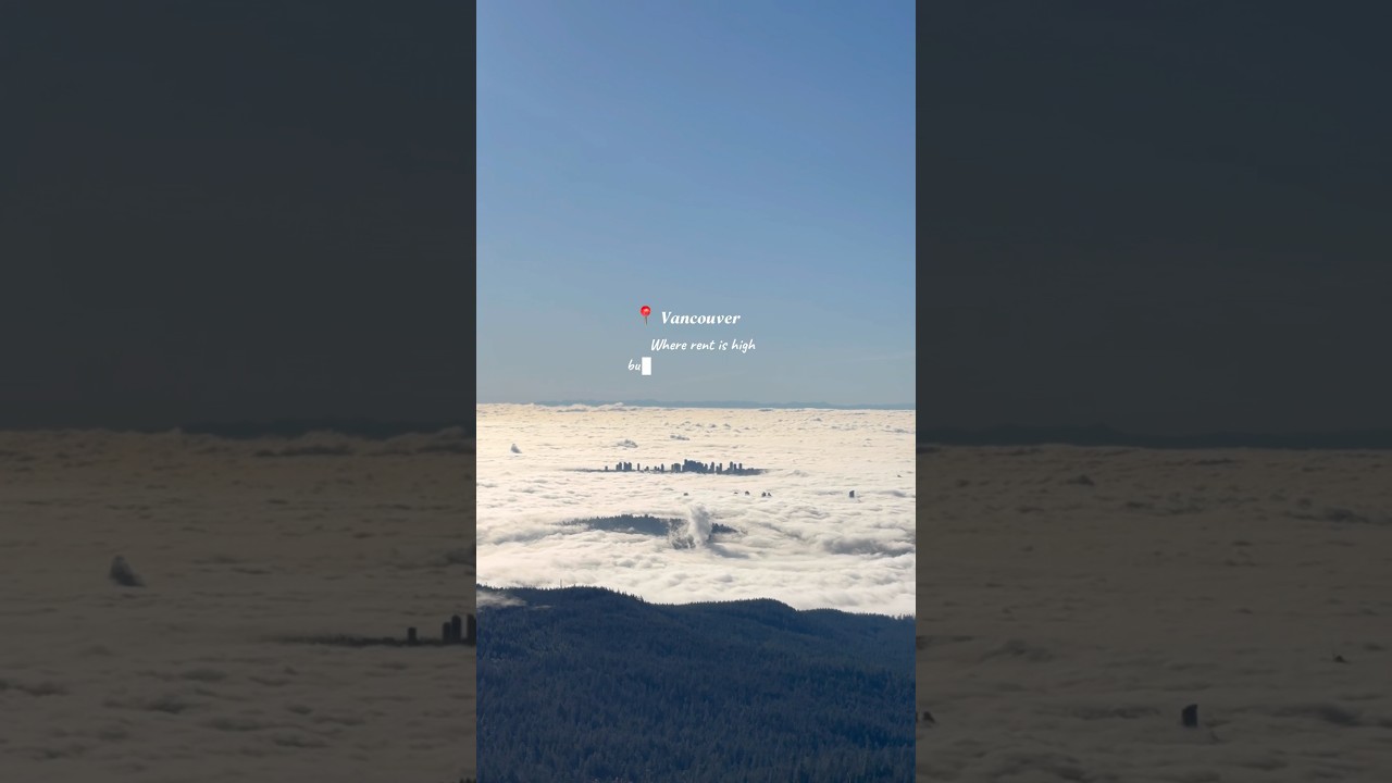 11am today, my cotton candy city 🍭 