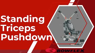 Bowflex Revolution Standing Triceps Pushdown