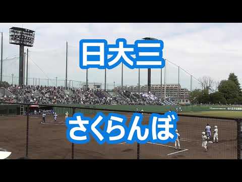 日大三「さくらんぼ」 (2022年版)