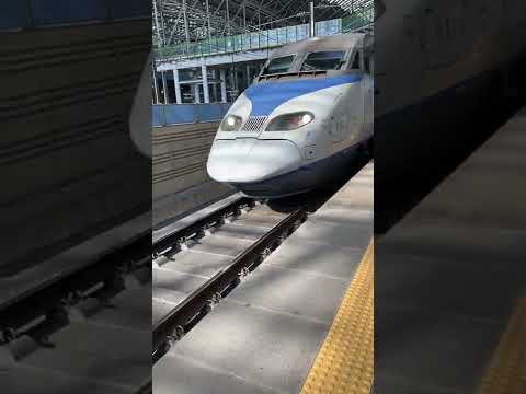 The Real Train to Busan 🚅 (No Zombie, No Gong Yoo😂) | yutikamelia