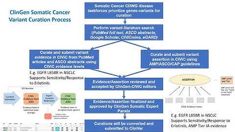 H3Africa-Presentation - H3Africa ClinGen Somatic Variant Curation and Interpretation (Shruti Rao)