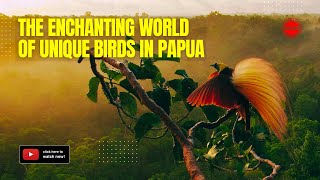 The Enchanting World of Unique Birds in Papua