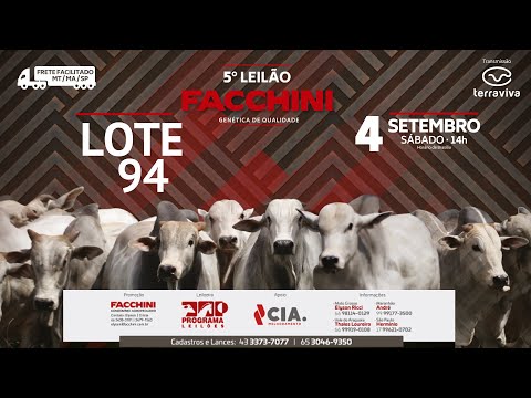 LOTE 93 - 5º LEILÃO FACCHINI 04/09/2021