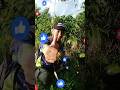 Ikan Wader/ Beunteur, kecil Tapi Enak di Goreng Garing nya. #mancing #fishing