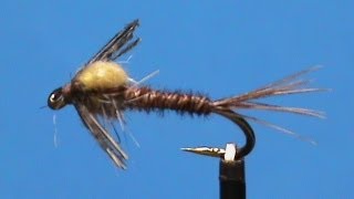 Fly Tying for Beginners a Crackback Sulphur Nymph with Jim Misiura