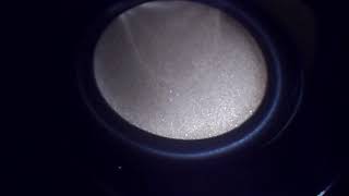 Bass I Love You Perfect Focus