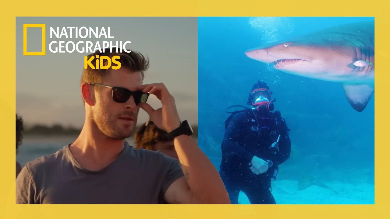 Shark Beach with Chris Hemsworth Full Episode 🦈 | @natgeokids