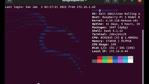 Use Neofetch to Glance at System Information