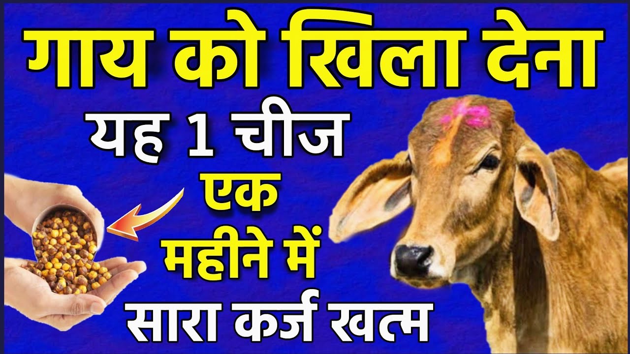 1 महीने में सारा कर्ज समाप्त हो जायेगा ! कर्ज से छुटकारा पाने का अचूक उपाय