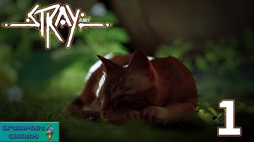 The Cutest Game Ever | Stray Part 1