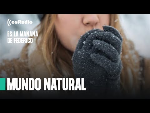 Mundo Natural: ¿Cómo proteger nuestro sistema inmunológico del frío?