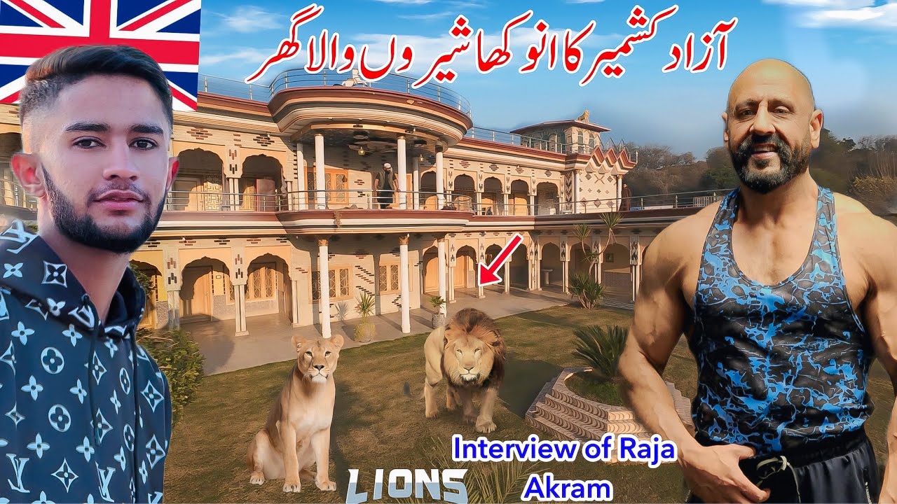 The Lion King of Azad Kashmir 🇬🇧|| How did they bring lions from other country 😱