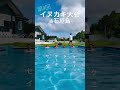 第9回イヌカキ大会‼︎