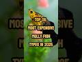 Top 05 Most Expensive Molly Fish Types in 2025 🐟💰 Rare Aquarium Fish #shorts #mollyfish #aquarium